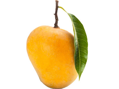 Alphonso Mango (Ratnagiri - 200 - 225 g)