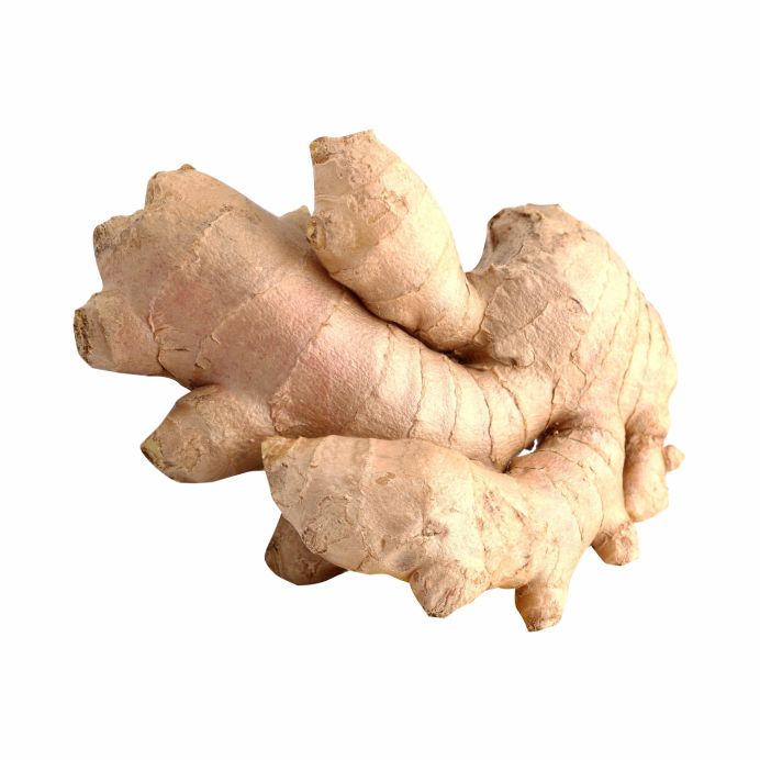 Ginger / Adarak