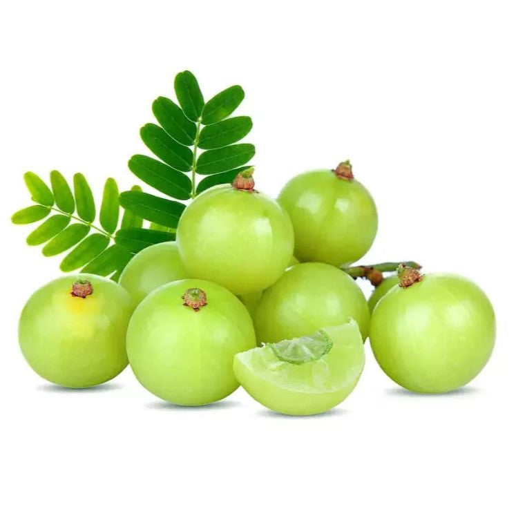 Green Awla / Indian Gooseberry