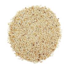 Poppy Seeds / Khus Khus