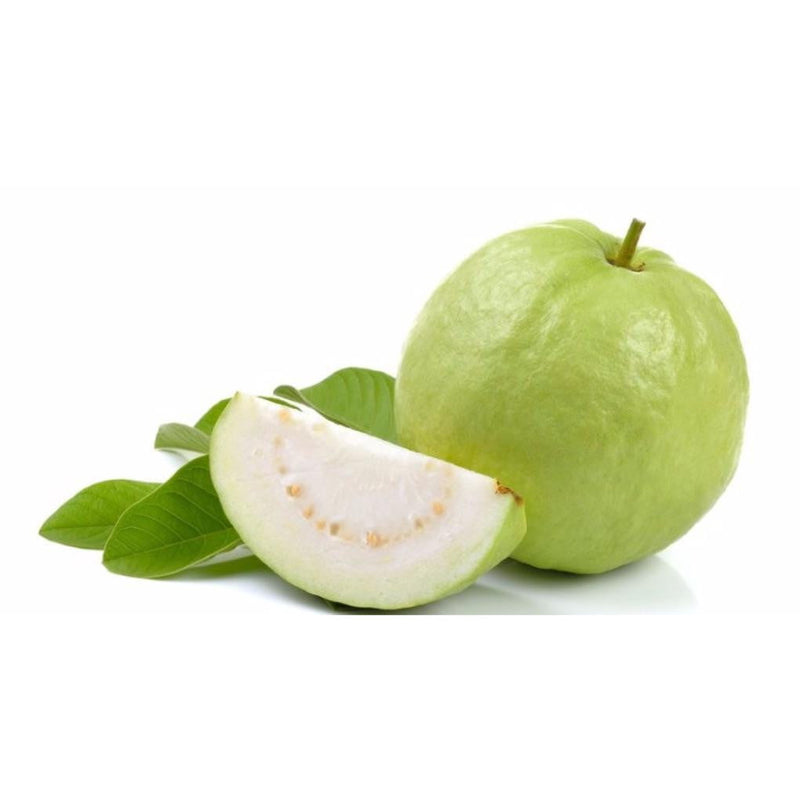 Guava / Peru (Pink / White)