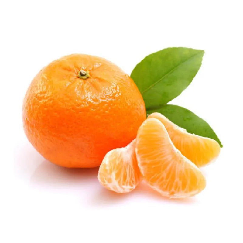 Kinnow Orange (Punjab)